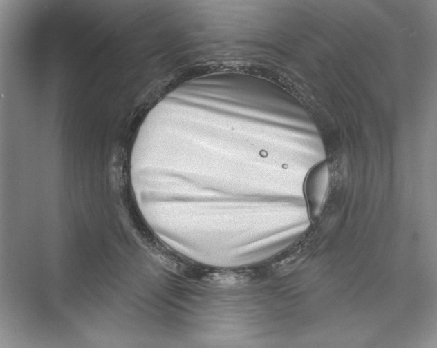 X0000072540464200608111817