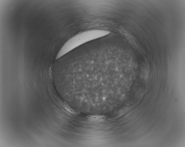 X0000072540465200608111817