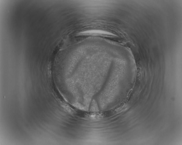 X0000072540466200608111817