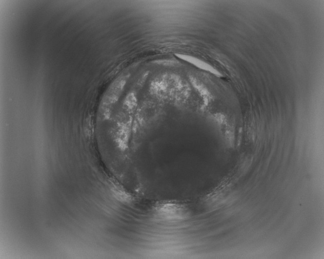 X0000072540467200608111817