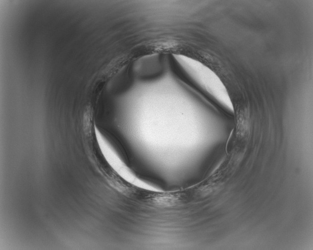 X0000072540468200608111817