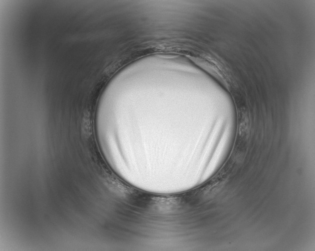 X0000072540469200608111817