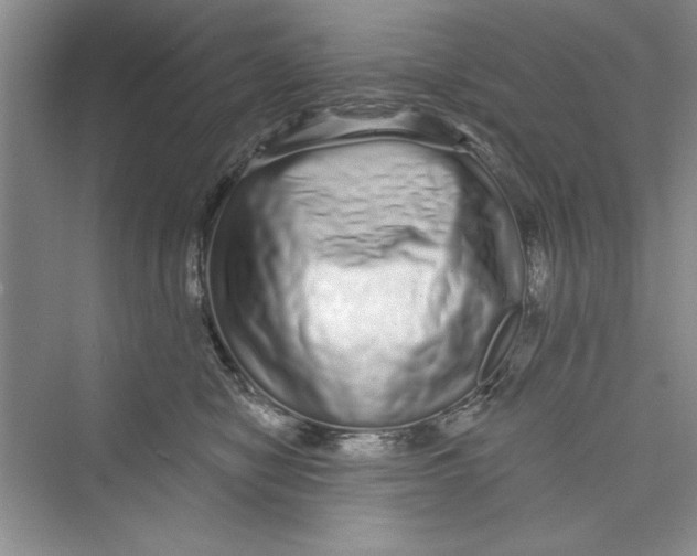 X0000072540470200608111817