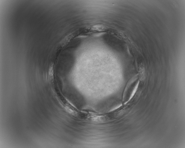 X0000072540472200608111817