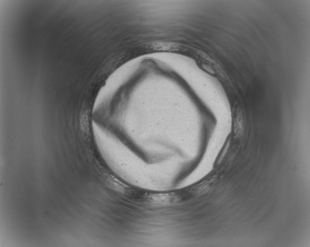 X0000072540473200608111817