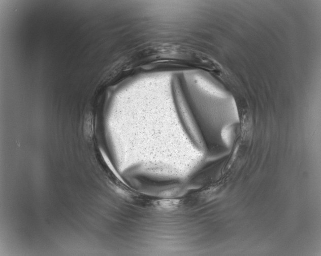 X0000072540474200608111817