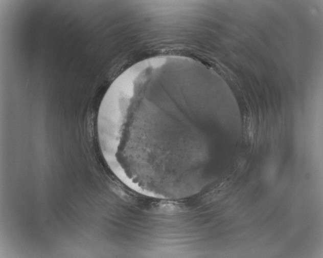 X0000072540475200608111817