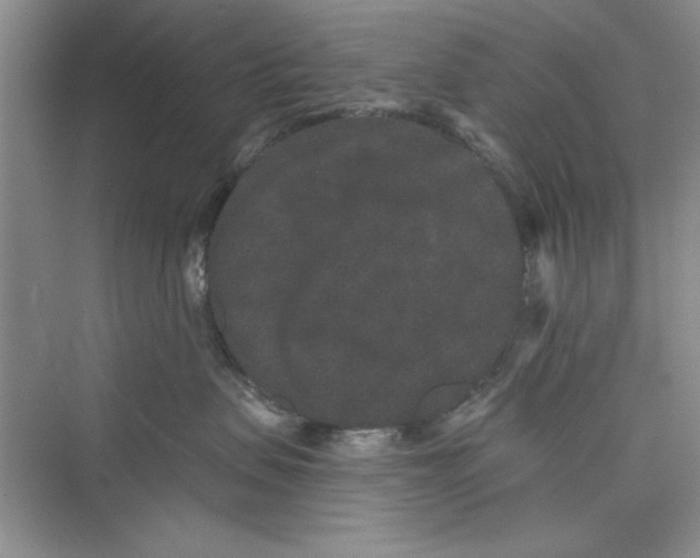 X0000072540479200608111817