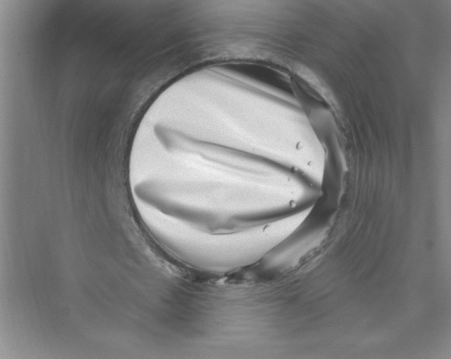 X0000072540481200608111817