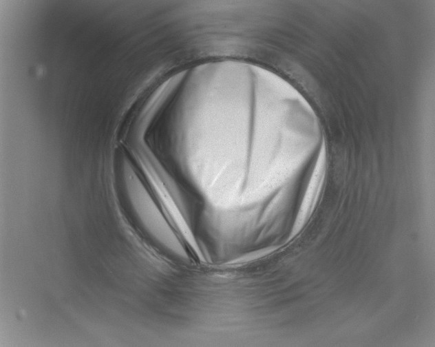 X0000072540482200608111817