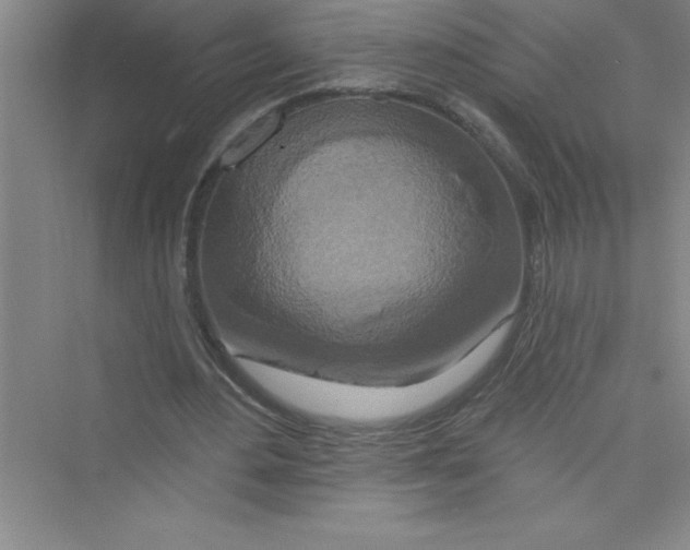 X0000072540484200608111817