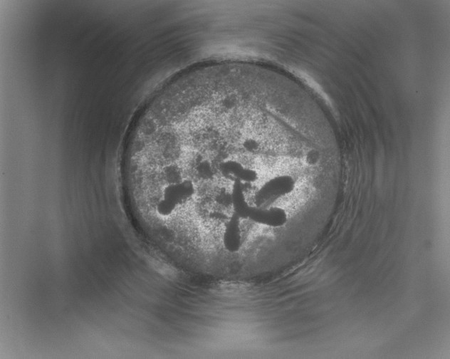 X0000072540487200608111817