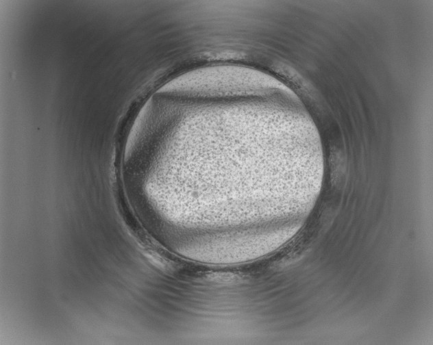 X0000072540490200608111817