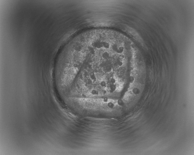 X0000072540491200608111817