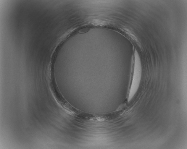 X0000072540492200608111816