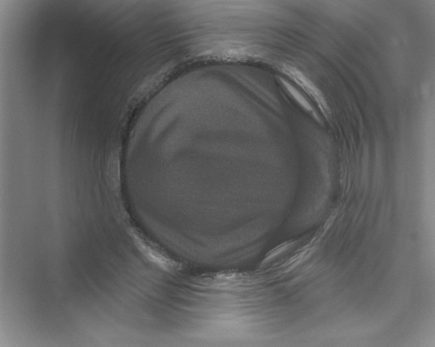 X0000072540493200608111816