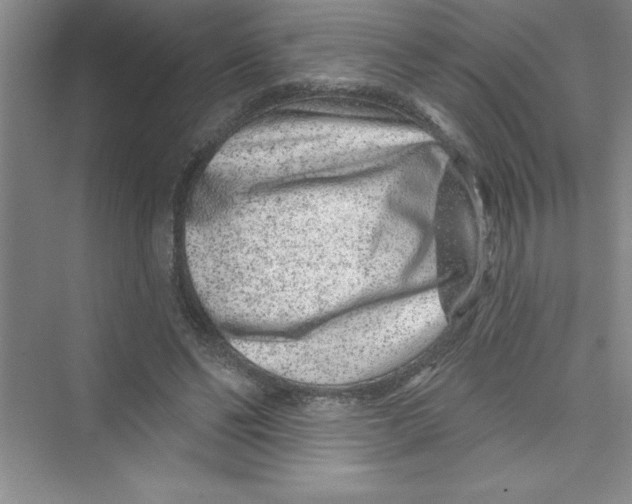 X0000072540494200608111816