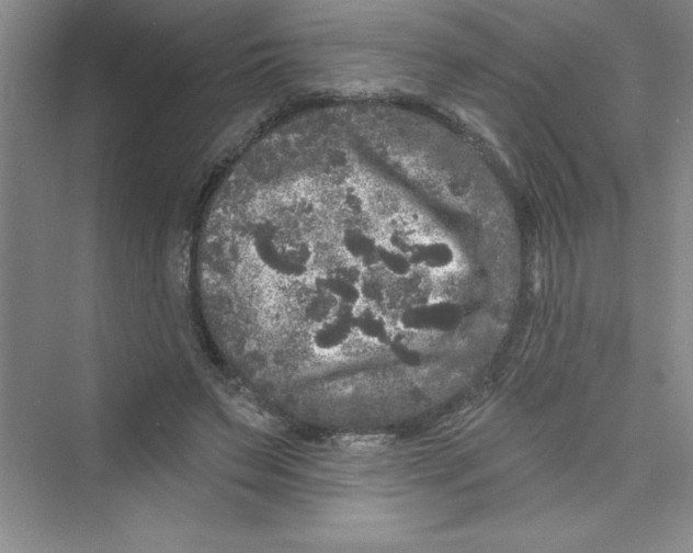 X0000072540495200608111816