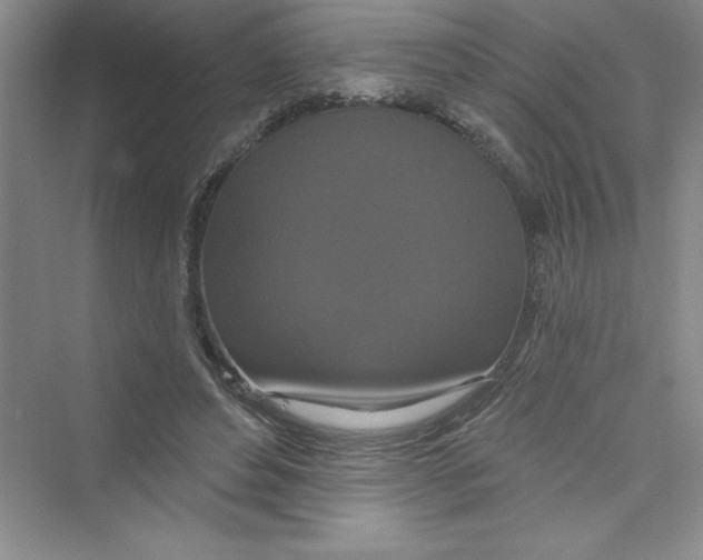 X0000072540496200608111816