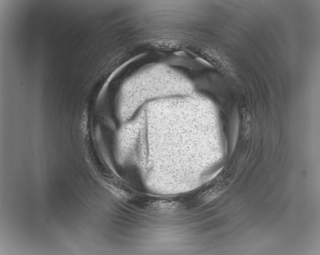 X0000072540498200608111816