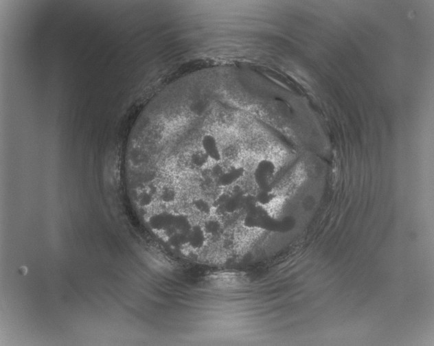 X0000072540499200608111816