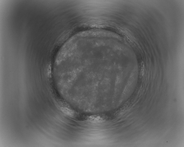 X0000072540502200608111816