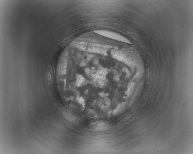 X0000072540503200608111816