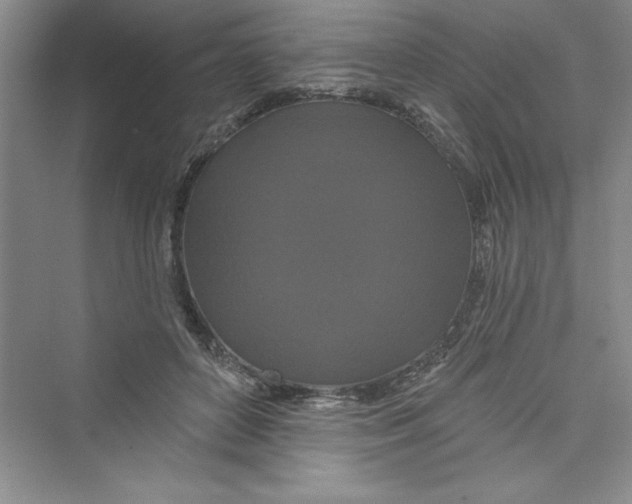 X0000072540504200608111816