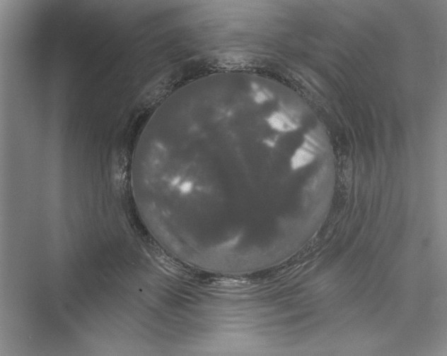 X0000072540507200608111816