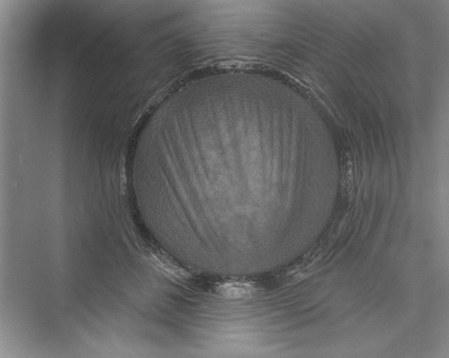 X0000072540508200608111816