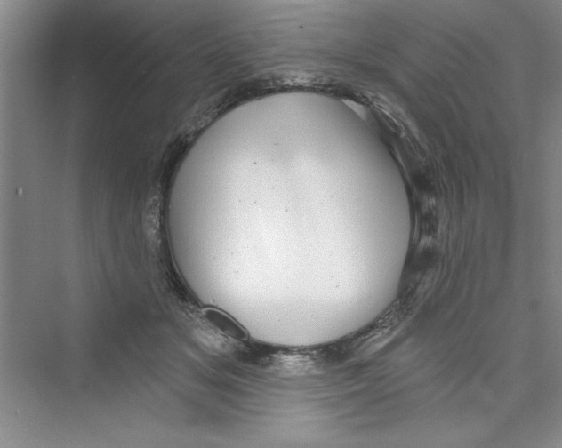 X0000072540509200608111816