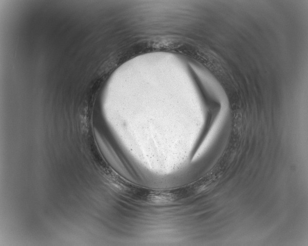 X0000072540510200608111816