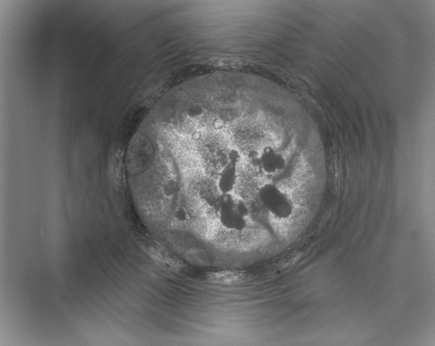 X0000072540511200608111816