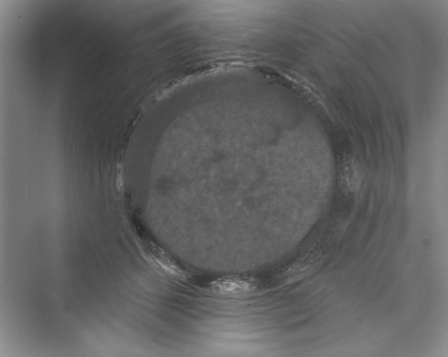 X0000072540512200608111816