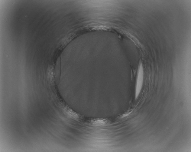 X0000072540513200608111816