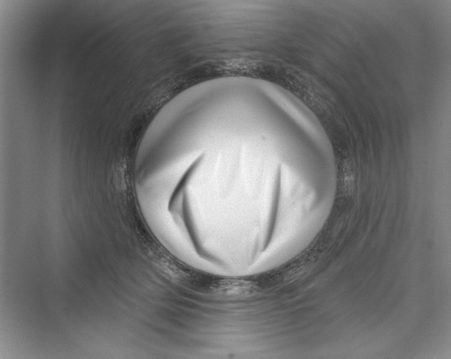 X0000072540514200608111816