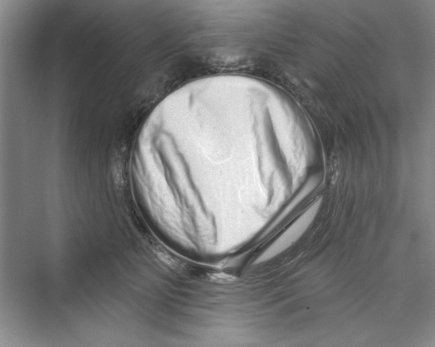 X0000072540515200608111816