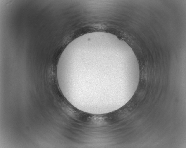 X0000072540518200608111816