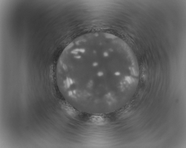 X0000072540519200608111816