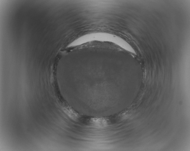 X0000072540520200608111816