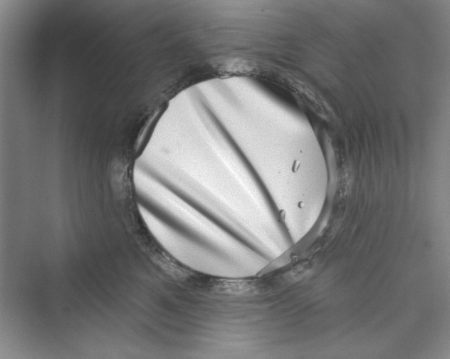 X0000072540521200608111816