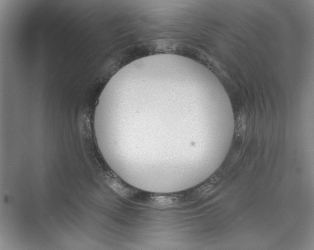 X0000072540522200608111816