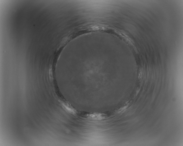 X0000072540524200608111816