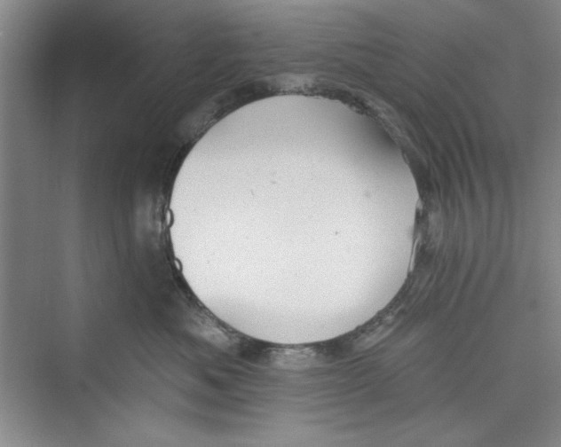 X0000072540525200608111816