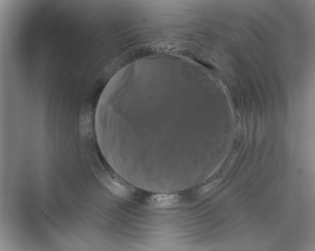 X0000072540526200608111816