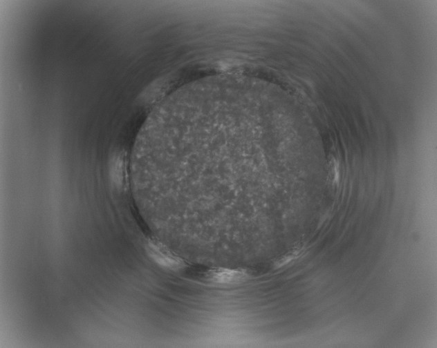 X0000072540527200608111816