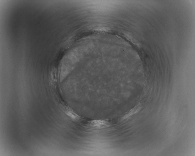 X0000072540528200608111816