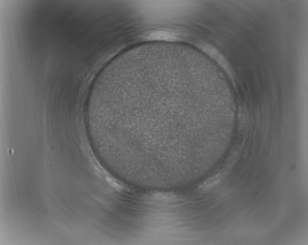 X0000072540529200608111815