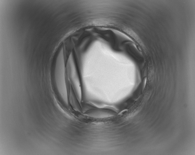 X0000072540530200608111815