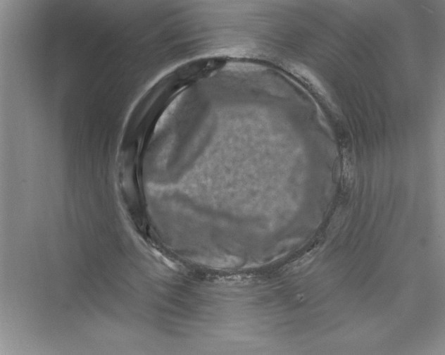 X0000072540532200608111815